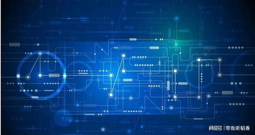 软件开发 从概念到实现的全面解析